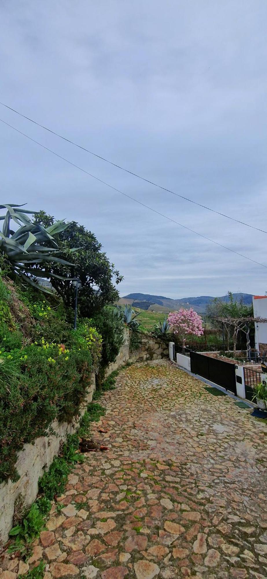Casa Rodrigues Villa Pinhão Dış mekan fotoğraf
