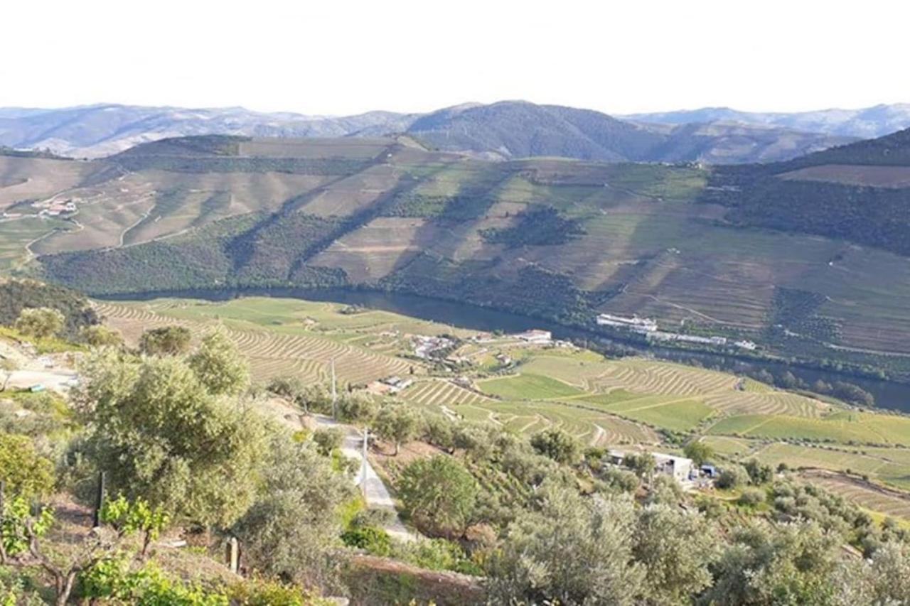 Casa Rodrigues Villa Pinhão Dış mekan fotoğraf