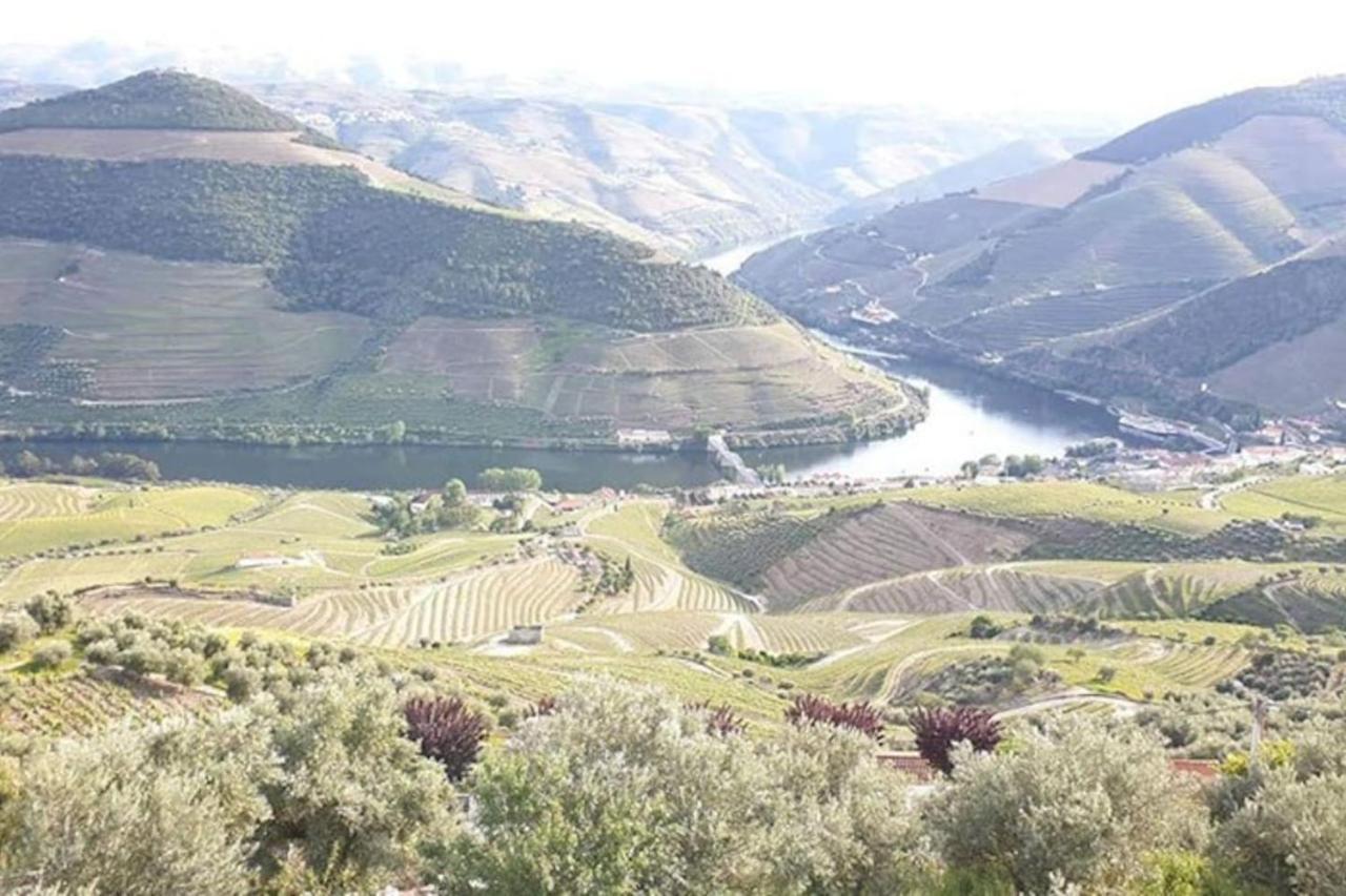 Casa Rodrigues Villa Pinhão Dış mekan fotoğraf