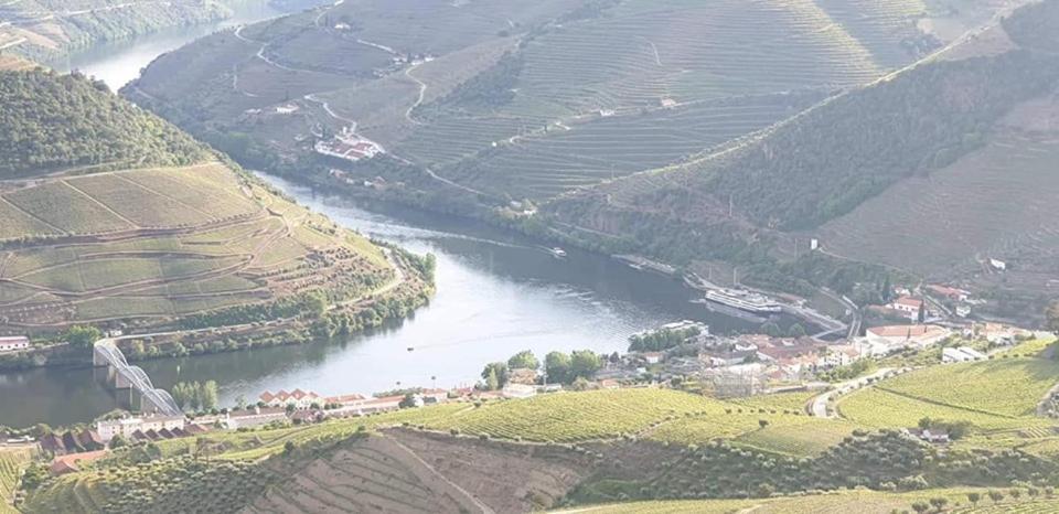 Casa Rodrigues Villa Pinhão Dış mekan fotoğraf